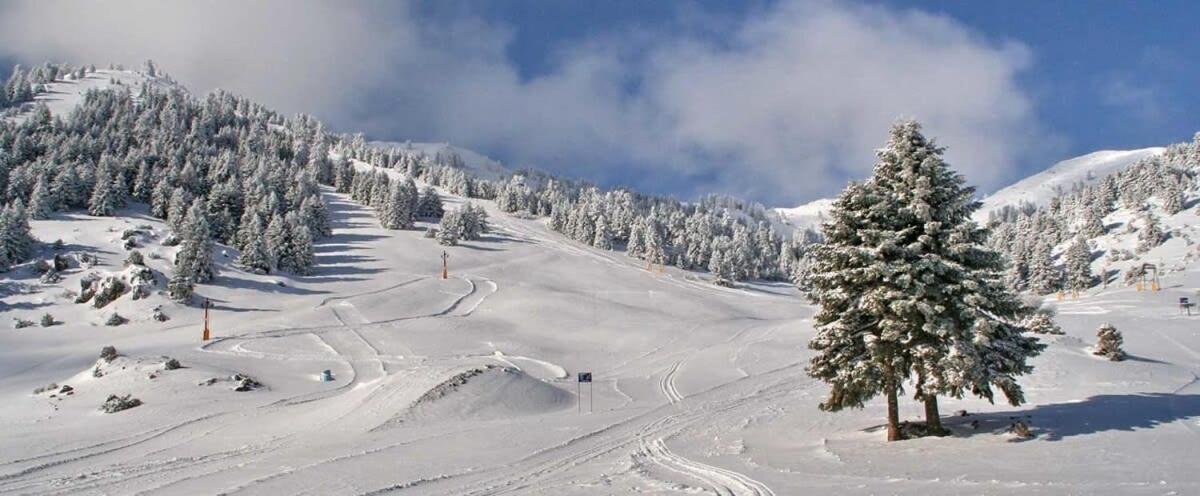 Forest Cosy House - Lagkadia Amazing View Buitenkant foto
